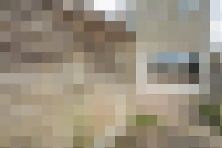 Bleekerseiland 1 Meppel thumbnail 24