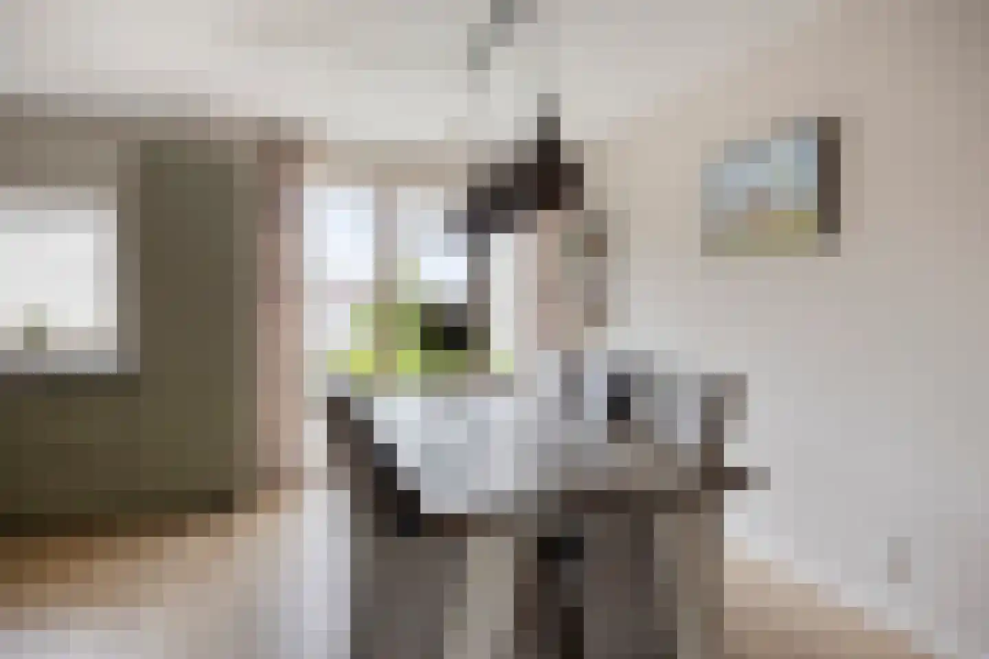 Bleekershof 2 Etten-Leur thumbnail 12