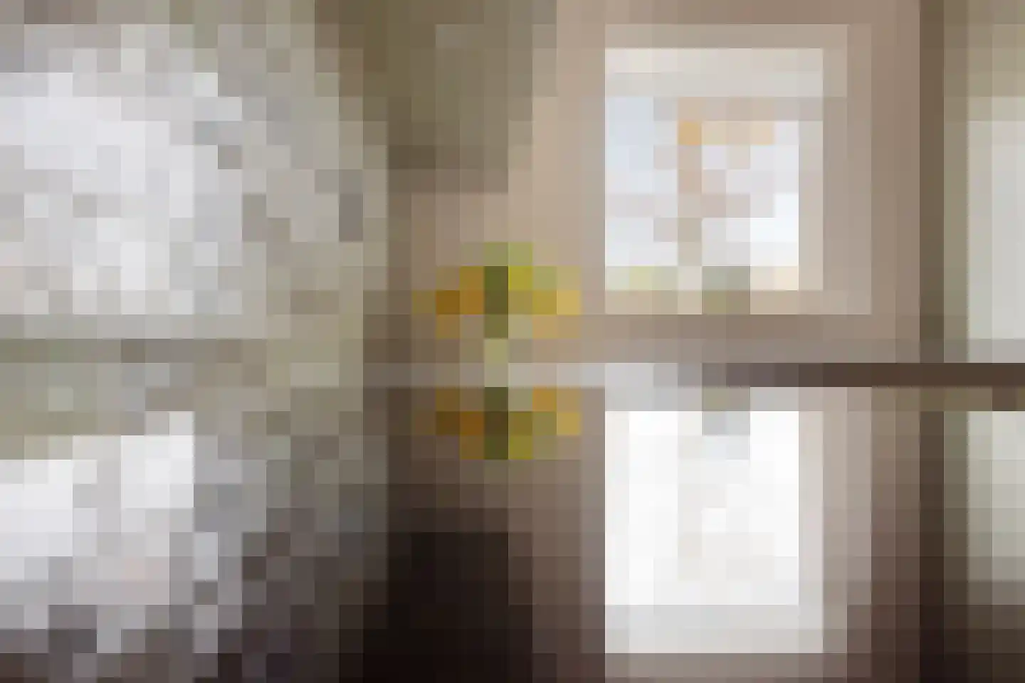 Bleekershof 2 Etten-Leur thumbnail 17