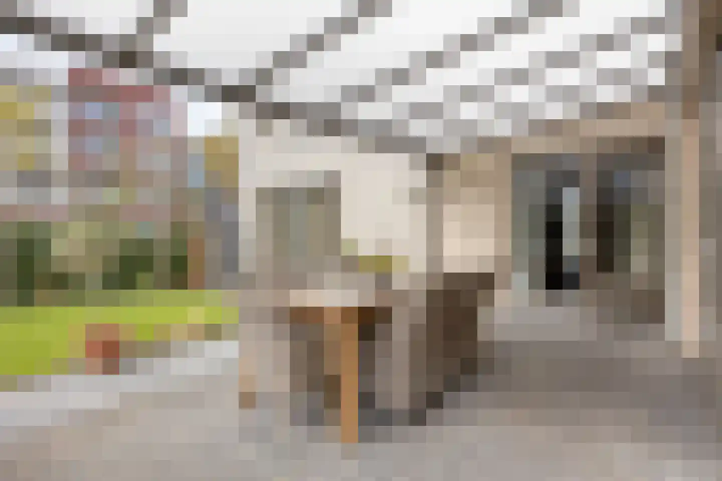 Bleekershof 2 Etten-Leur thumbnail 36
