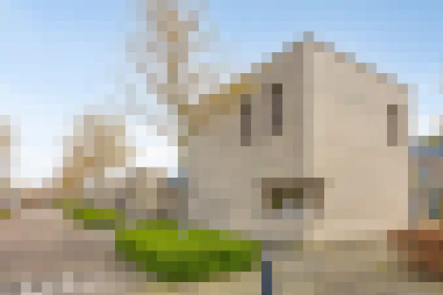 Bleekershof 2 Etten-Leur thumbnail 7