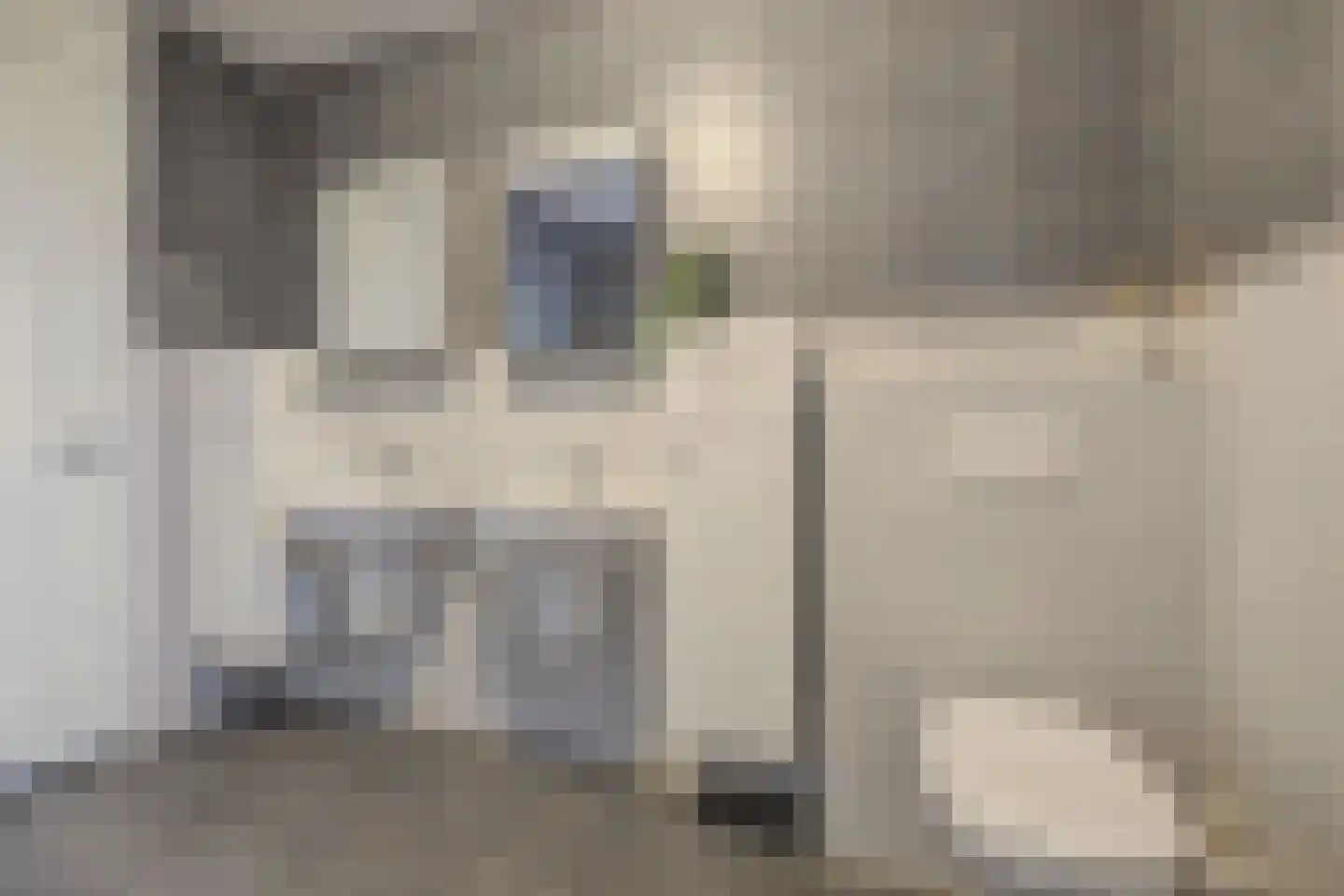 Bleekershof 21 Etten-Leur thumbnail 27