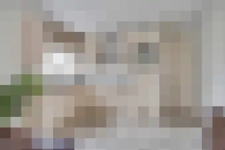 Bleekershof 6 Etten-Leur thumbnail 12