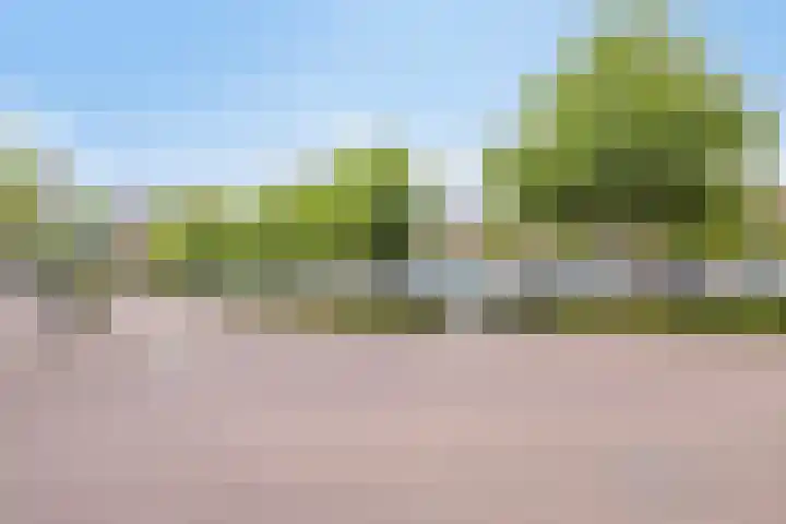 Bleekershof 6 Etten-Leur thumbnail 32