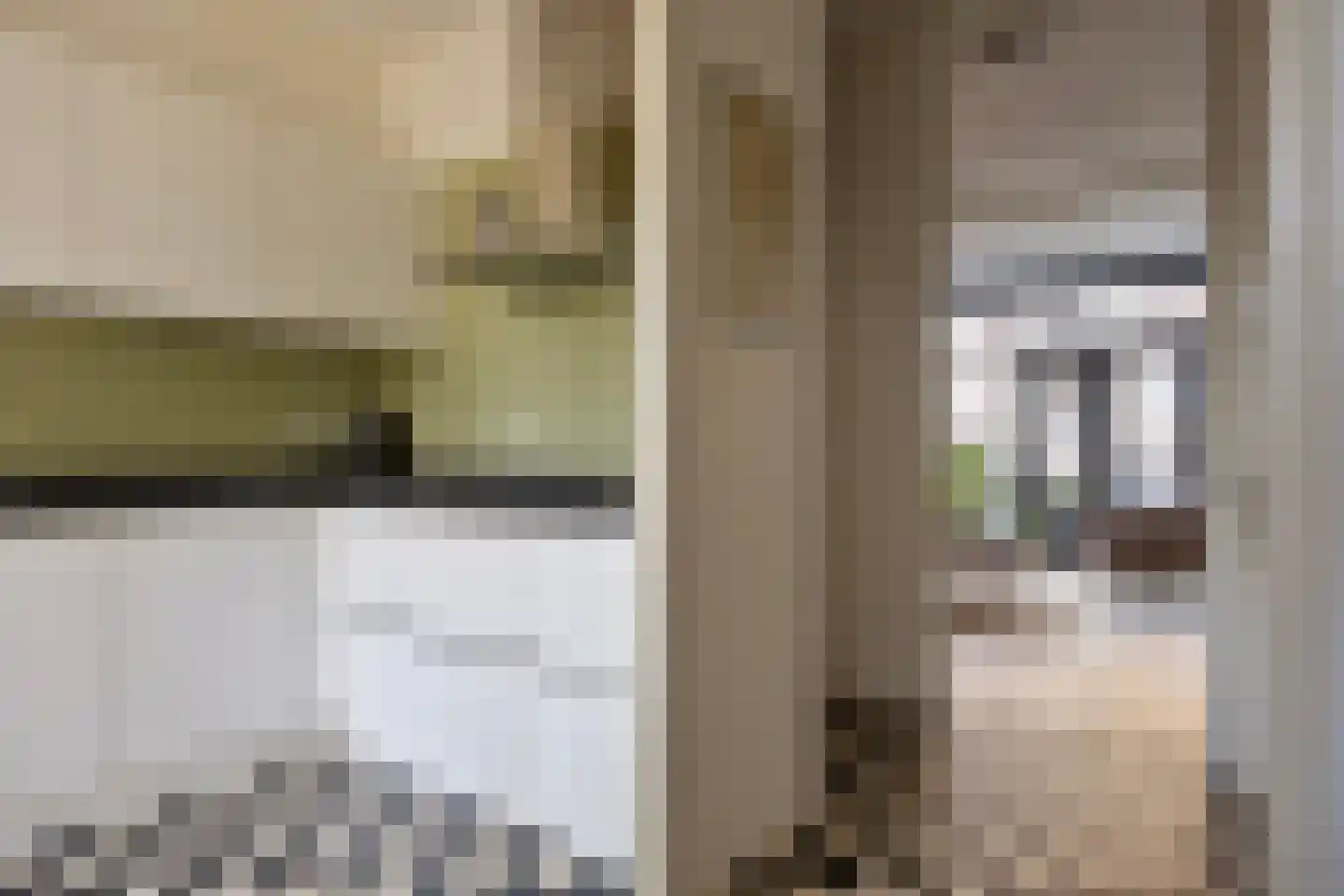 Bleekerskade 66 Doesburg thumbnail 12