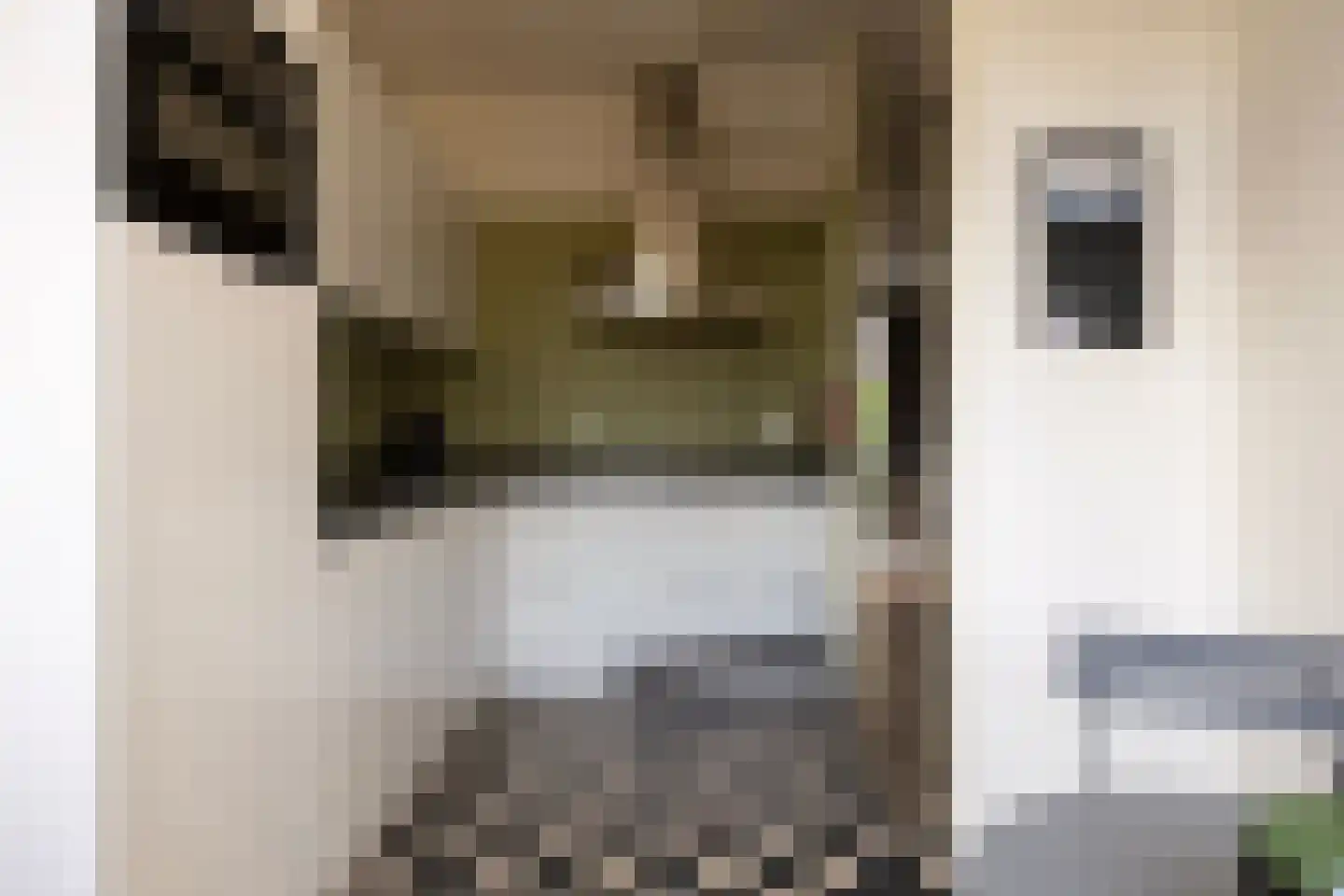 Bleekerskade 66 Doesburg thumbnail 13