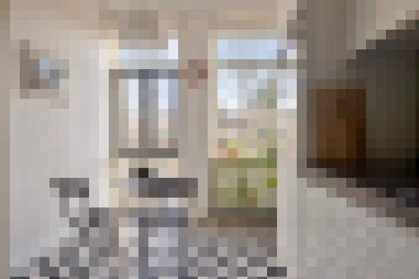 Bleekerskade 66 Doesburg thumbnail 18