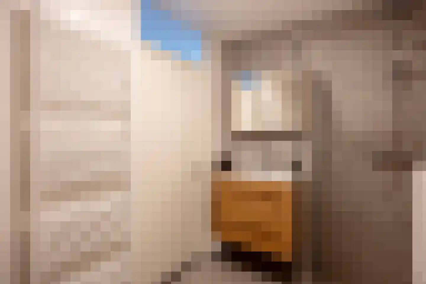 Bleekerskade 66 Doesburg thumbnail 27