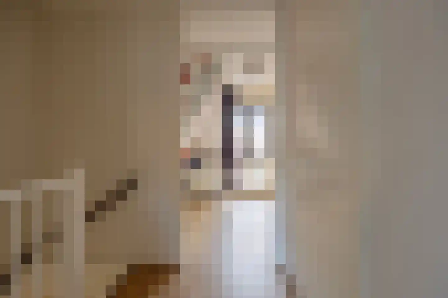 Bleekerskade 66 Doesburg thumbnail 31