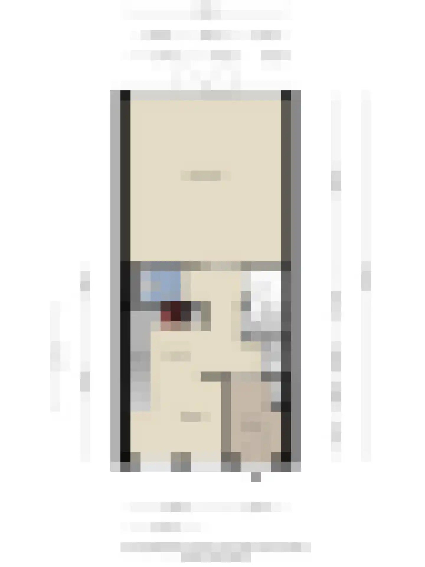 Bleekerskade 66 Doesburg thumbnail 45