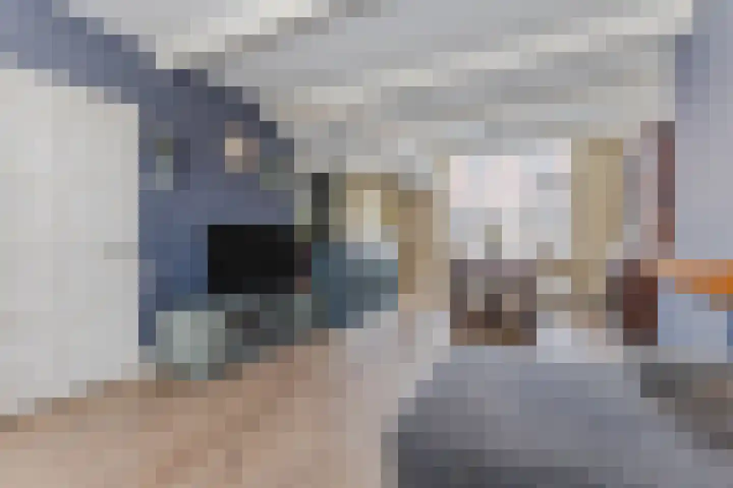 Bleekersstraat 23 Zaandam thumbnail 10
