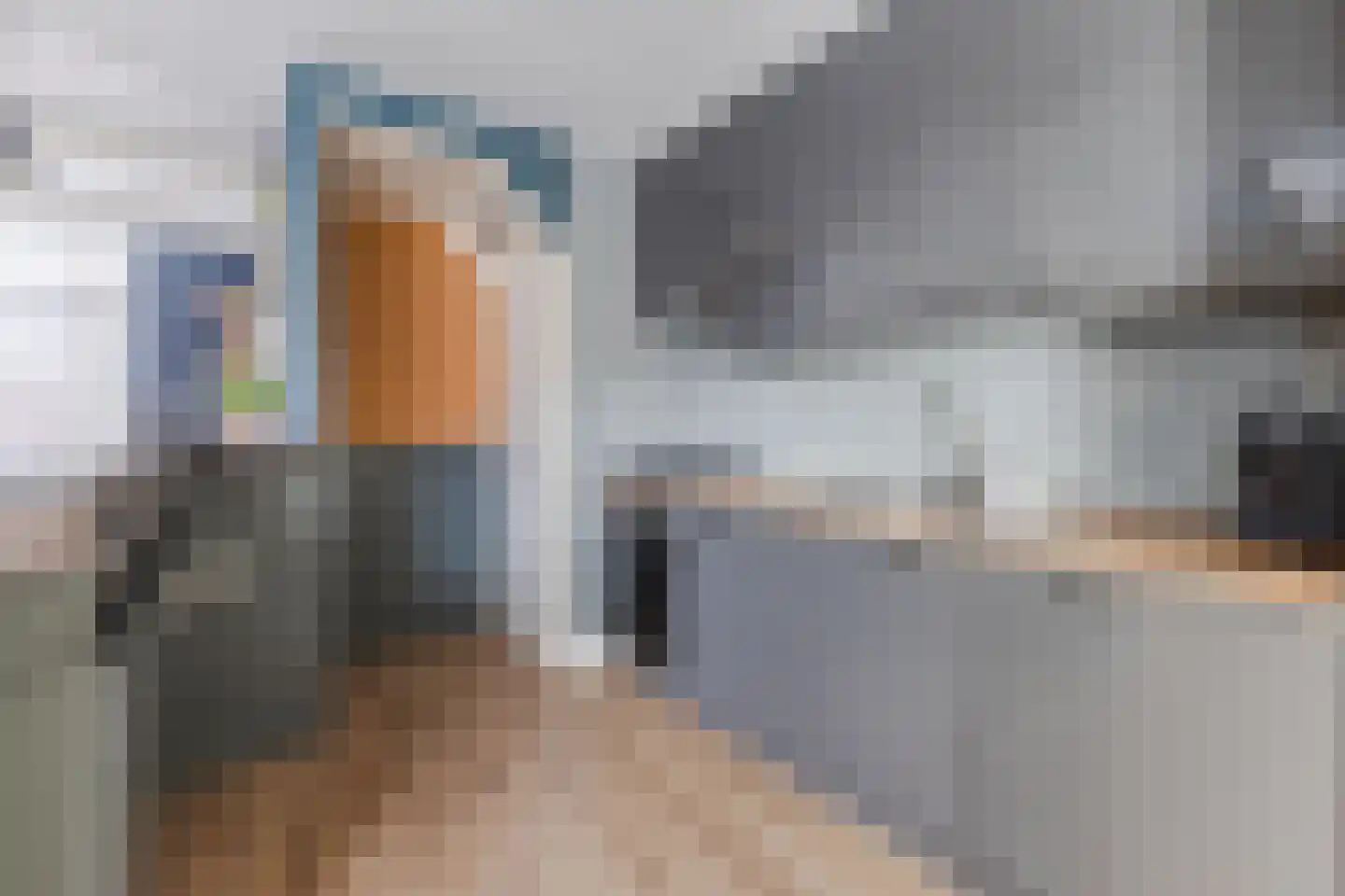 Bleekersstraat 23 Zaandam thumbnail 14
