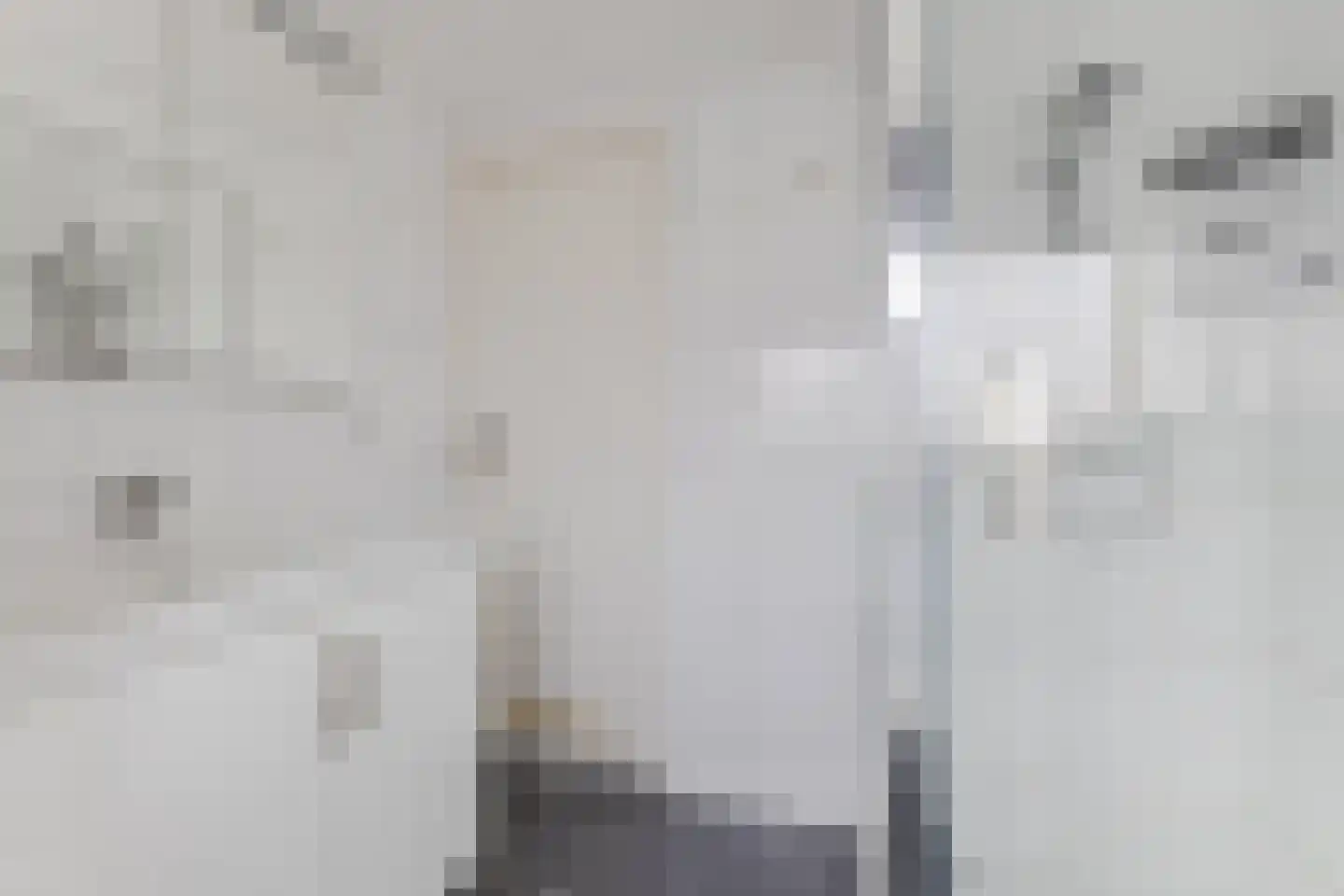 Bleekersstraat 23 Zaandam thumbnail 26