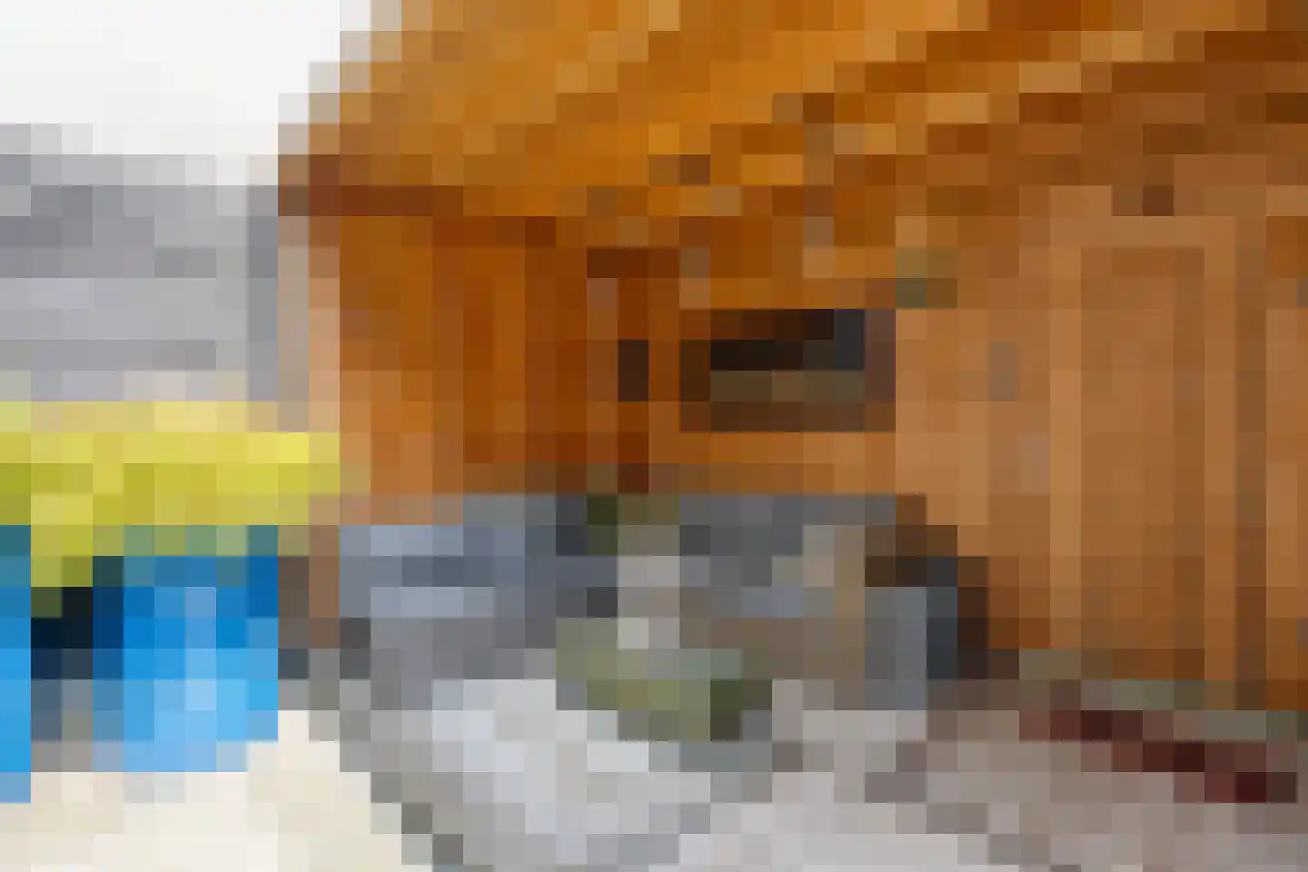 Bleekersstraat 23 Zaandam thumbnail 29