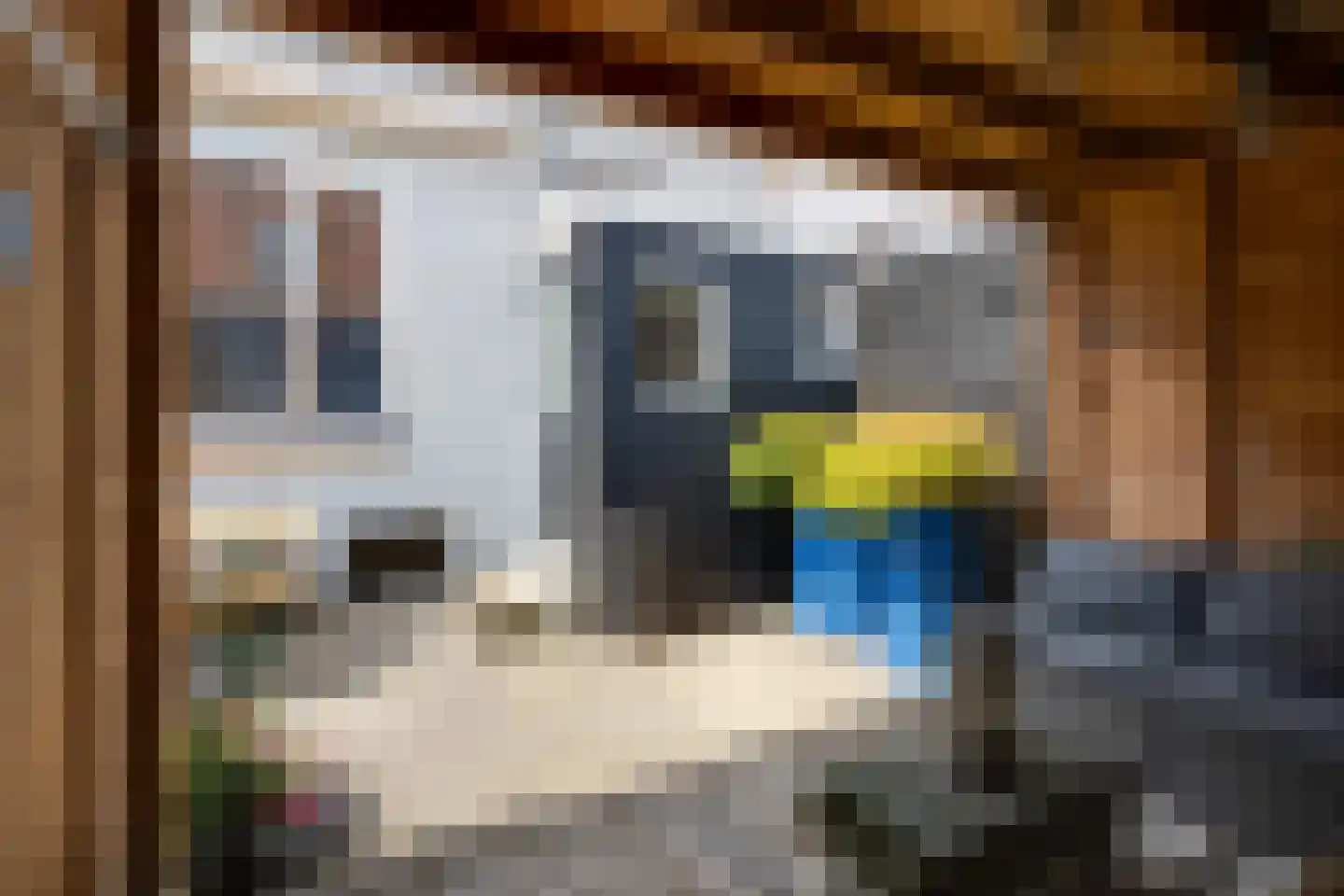 Bleekersstraat 23 Zaandam thumbnail 32
