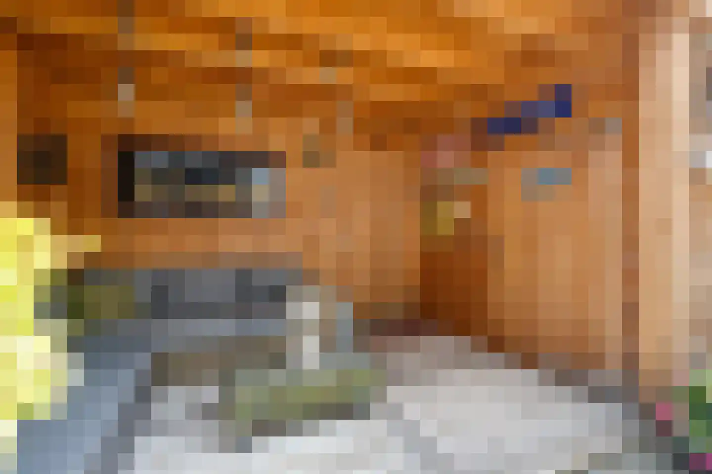 Bleekersstraat 23 Zaandam thumbnail 4