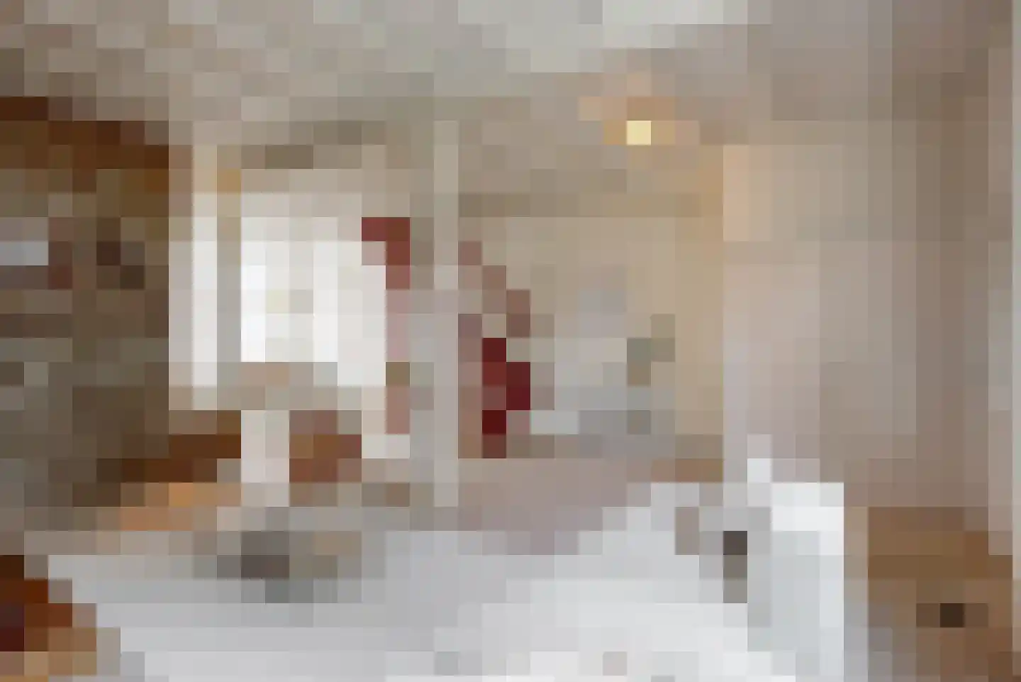 Bleekersstraat 58 Zaandam thumbnail 10