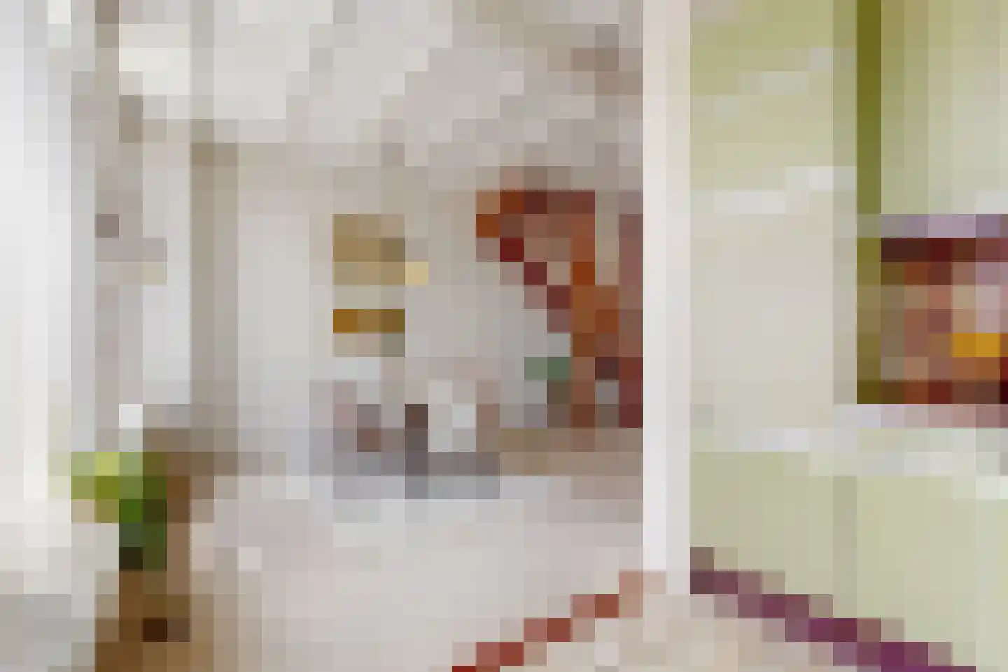 Bleekersstraat 58 Zaandam thumbnail 12