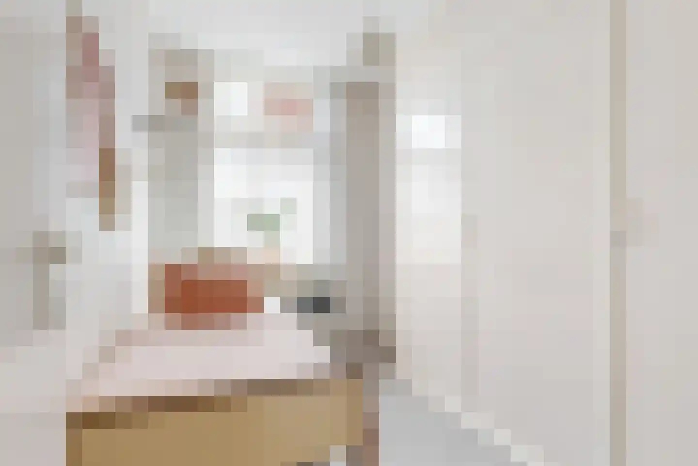 Bleekersstraat 58 Zaandam thumbnail 17