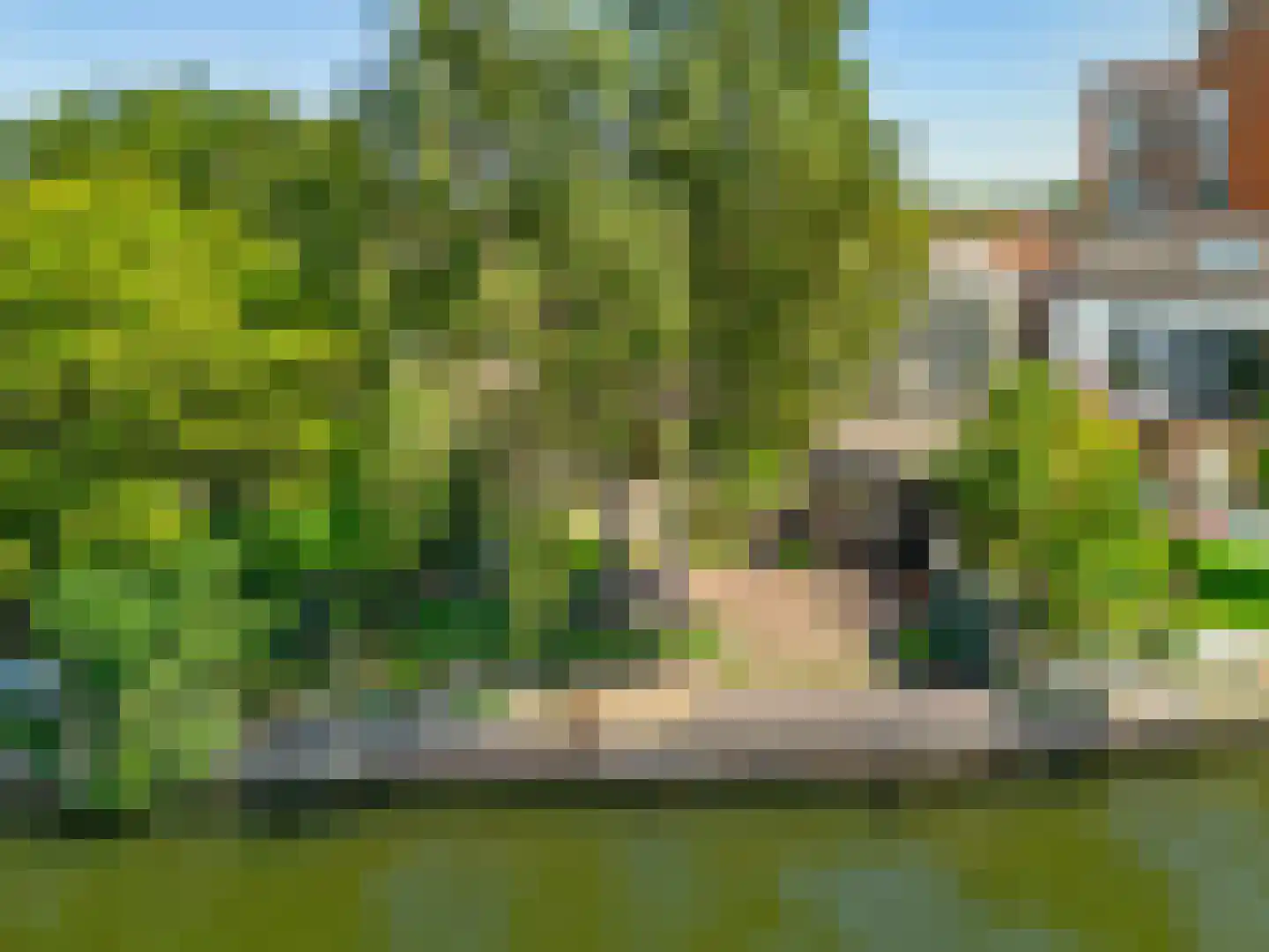 Bleekersstraat 58 Zaandam thumbnail 35