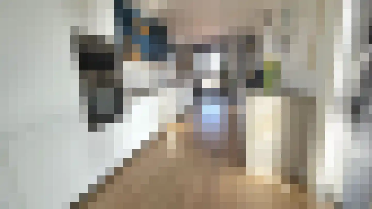 Bleekersstraat 81 Zaandam thumbnail 13
