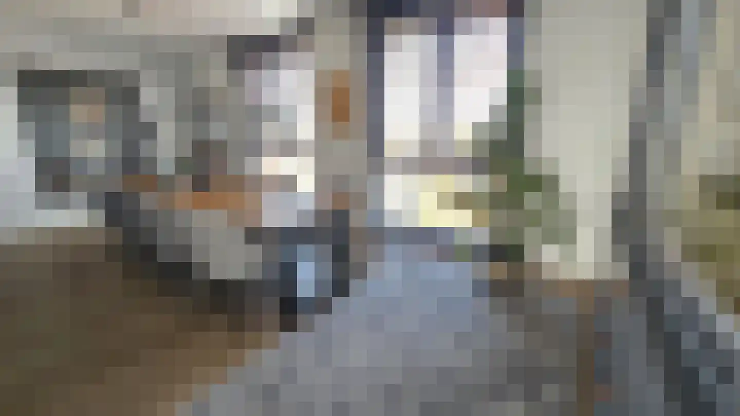 Bleekersstraat 81 Zaandam thumbnail 16