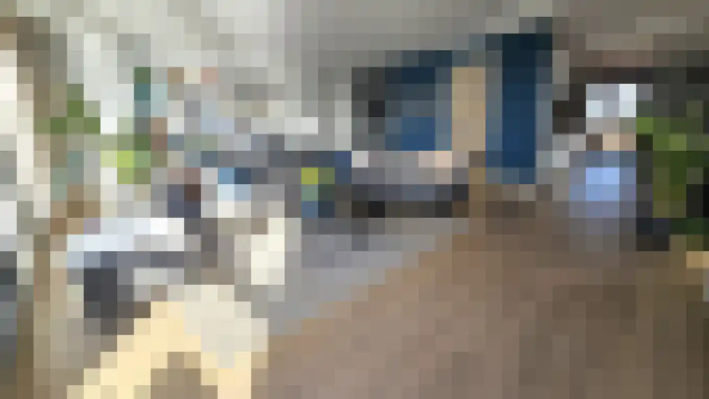 Bleekersstraat 81 Zaandam thumbnail 4