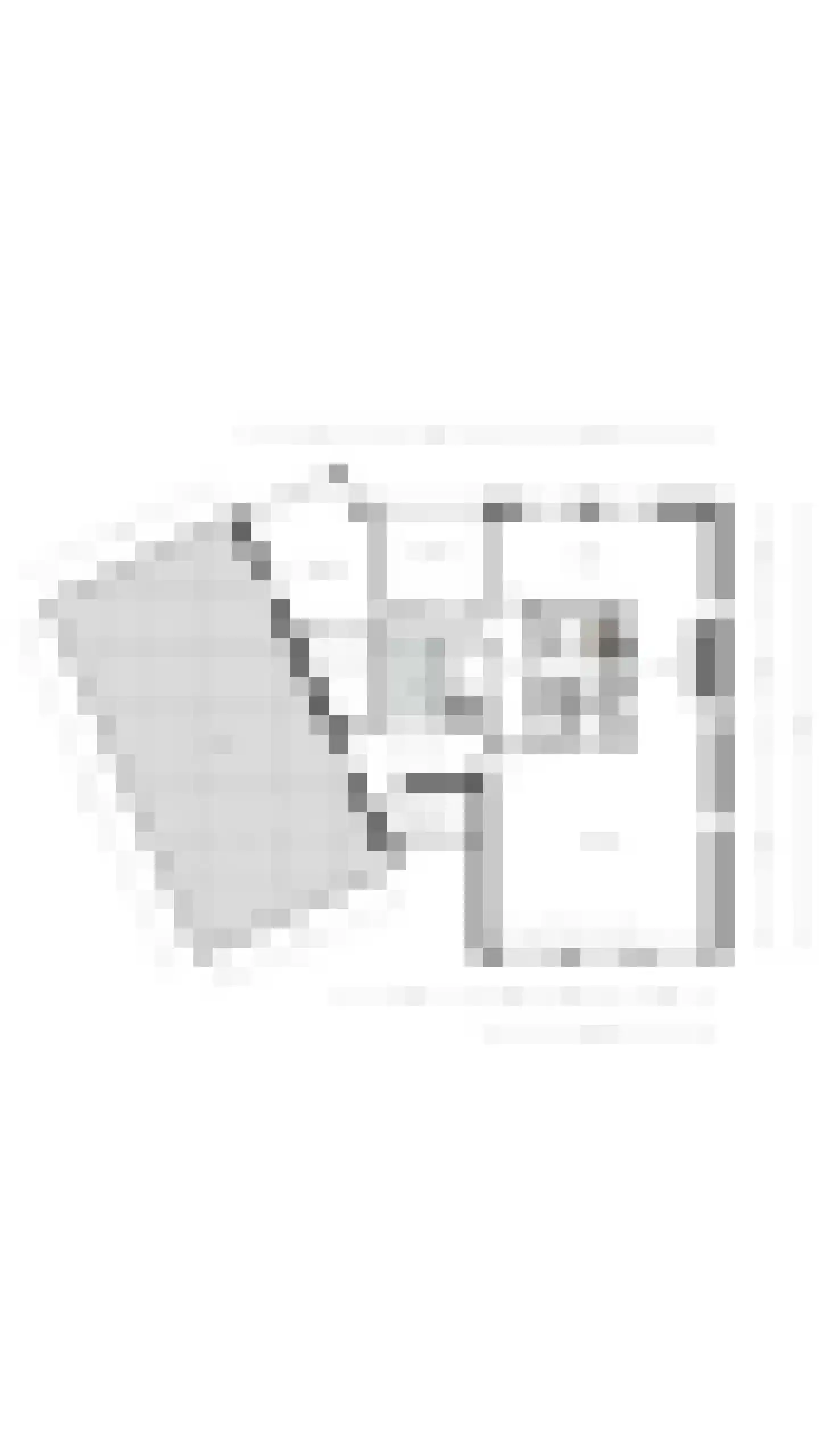 Bleekersstraat 81 Zaandam thumbnail 49