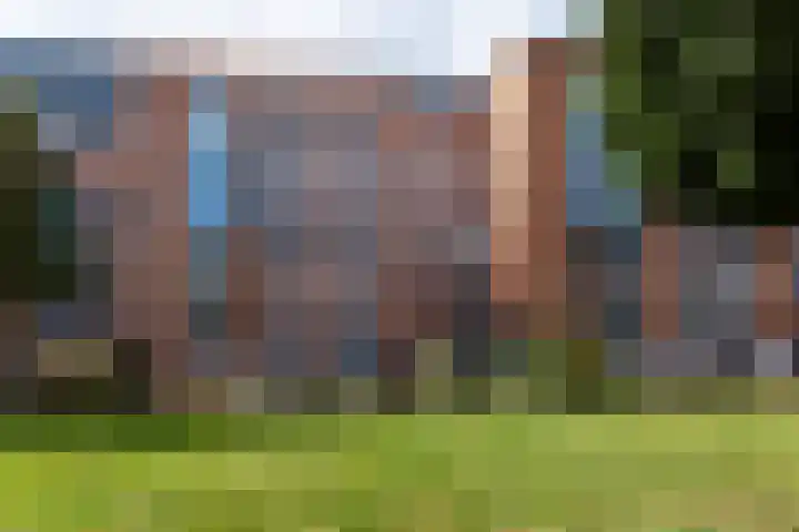 Bleekhof 149 Leeuwarden thumbnail 12