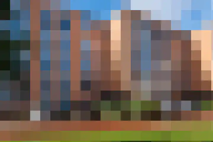 Bleekhof 149 Leeuwarden thumbnail 5
