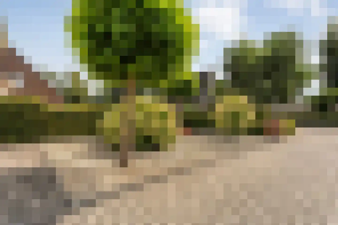 Bleekhof 15 Ruinerwold thumbnail 13