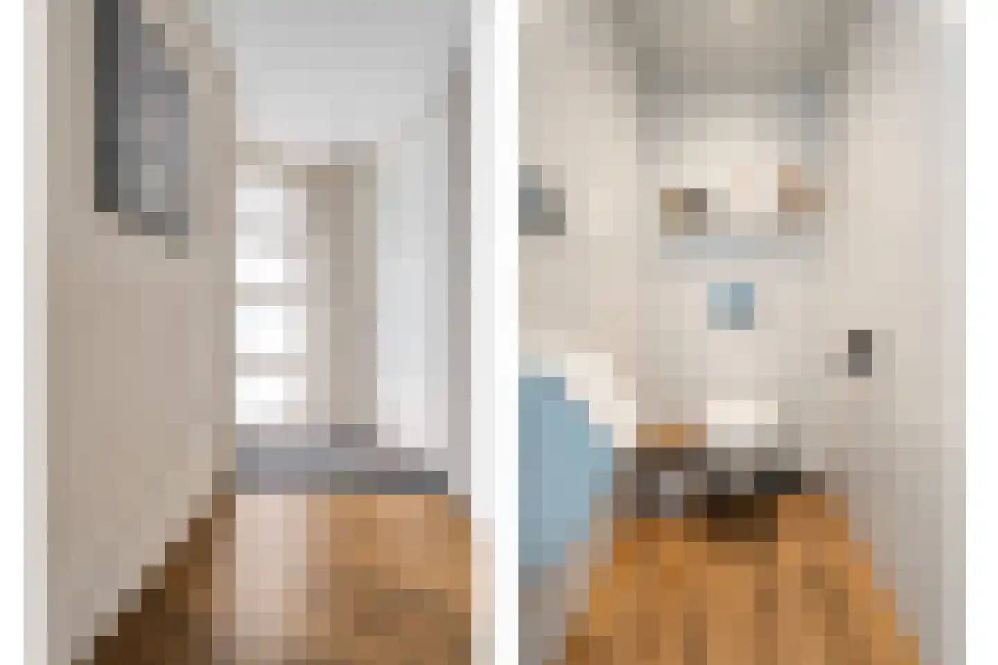 Bleekhof 15 Ruinerwold thumbnail 17