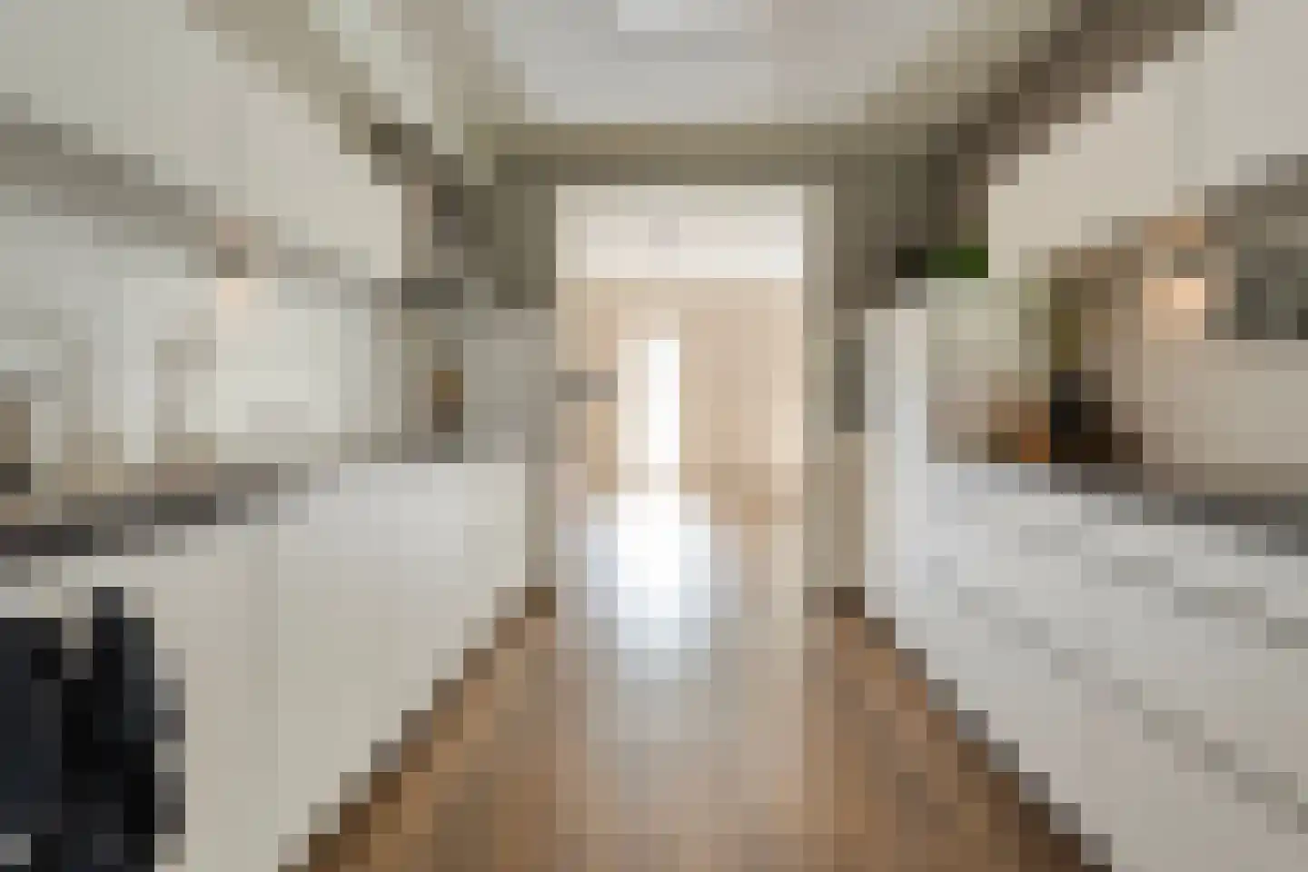 Bleekhof 15 Ruinerwold thumbnail 19
