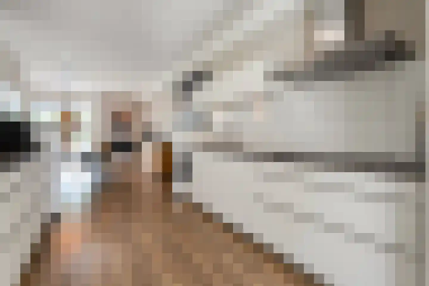 Bleekhof 15 Ruinerwold thumbnail 21