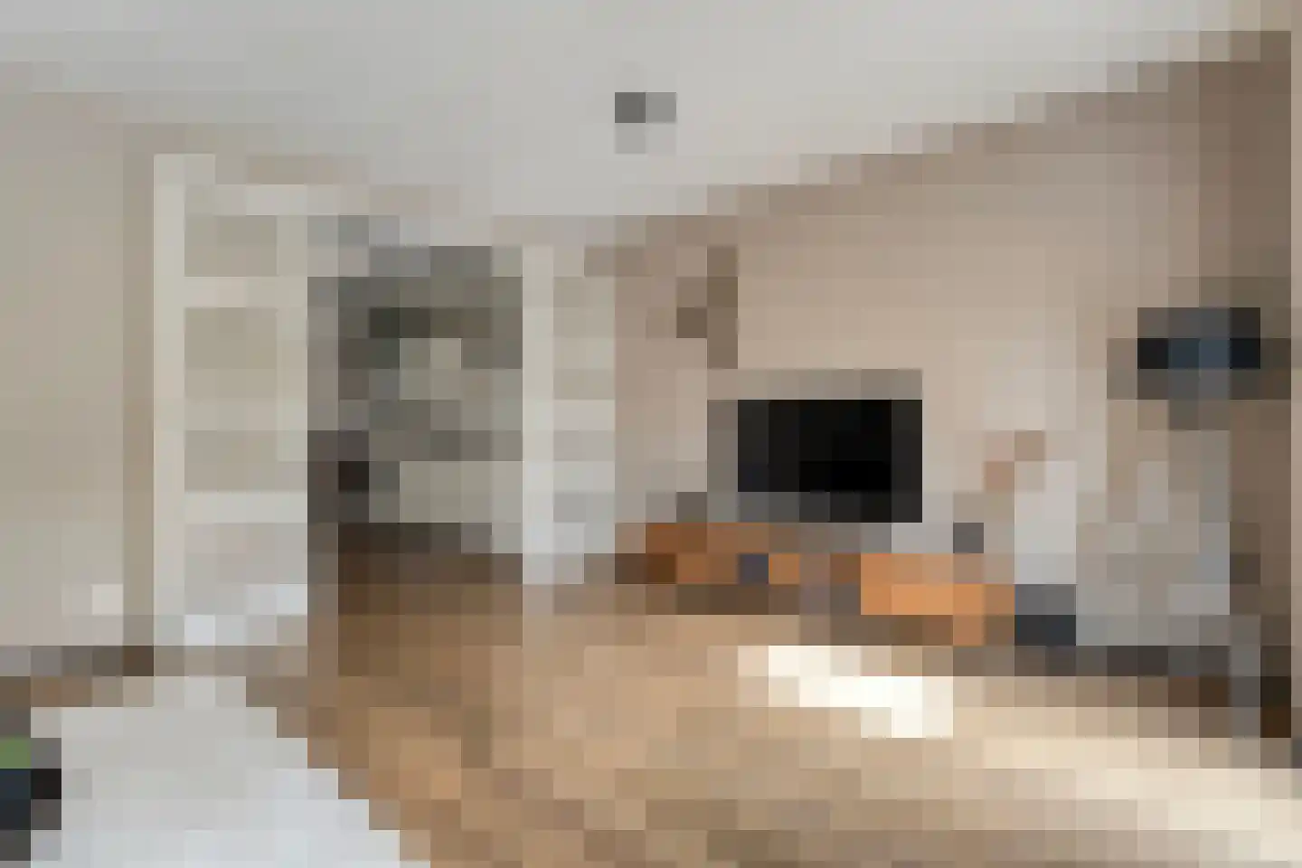Bleekhof 15 Ruinerwold thumbnail 23