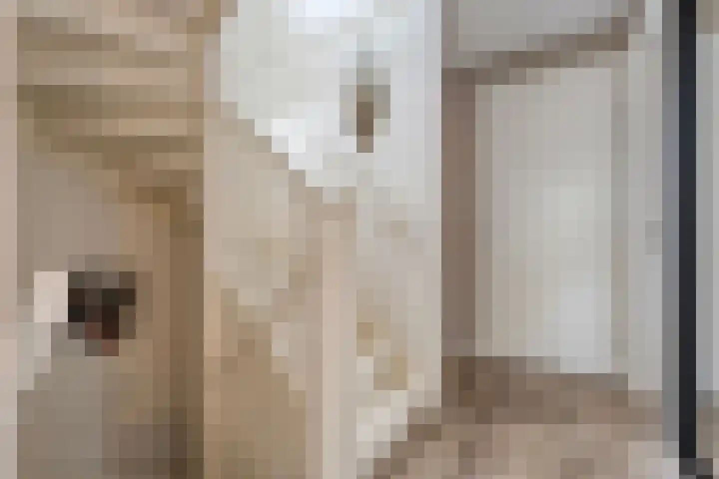 Bleekhof 15 Ruinerwold thumbnail 26