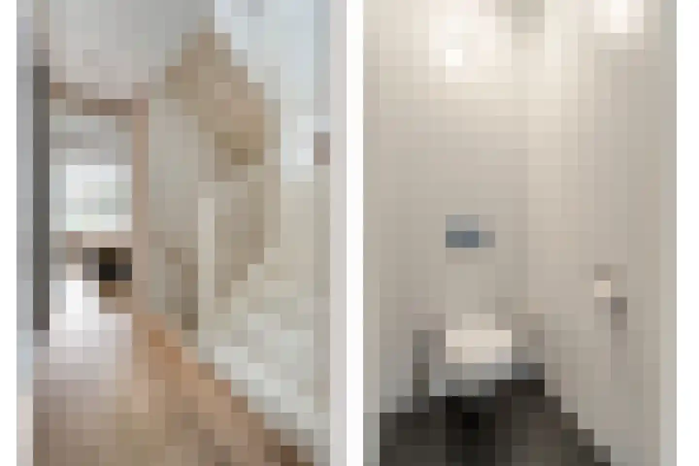 Bleekhof 15 Ruinerwold thumbnail 27