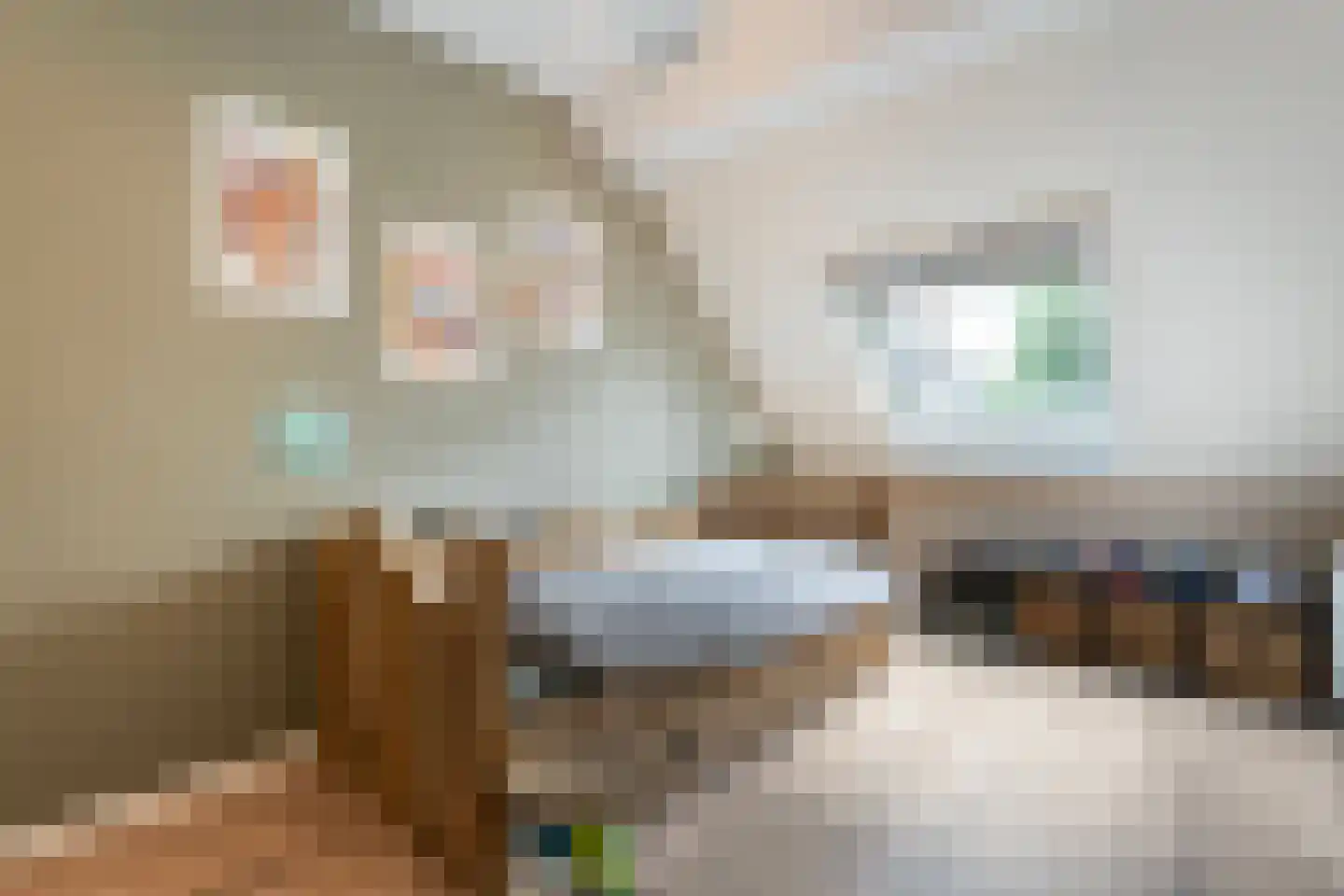 Bleekhof 15 Ruinerwold thumbnail 30