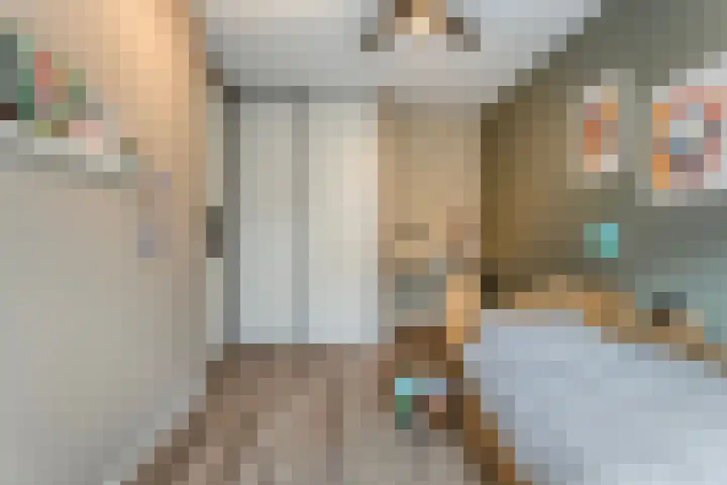 Bleekhof 15 Ruinerwold thumbnail 31