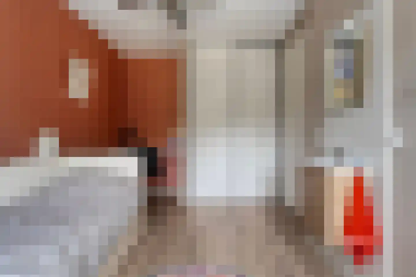 Bleekhof 15 Ruinerwold thumbnail 33