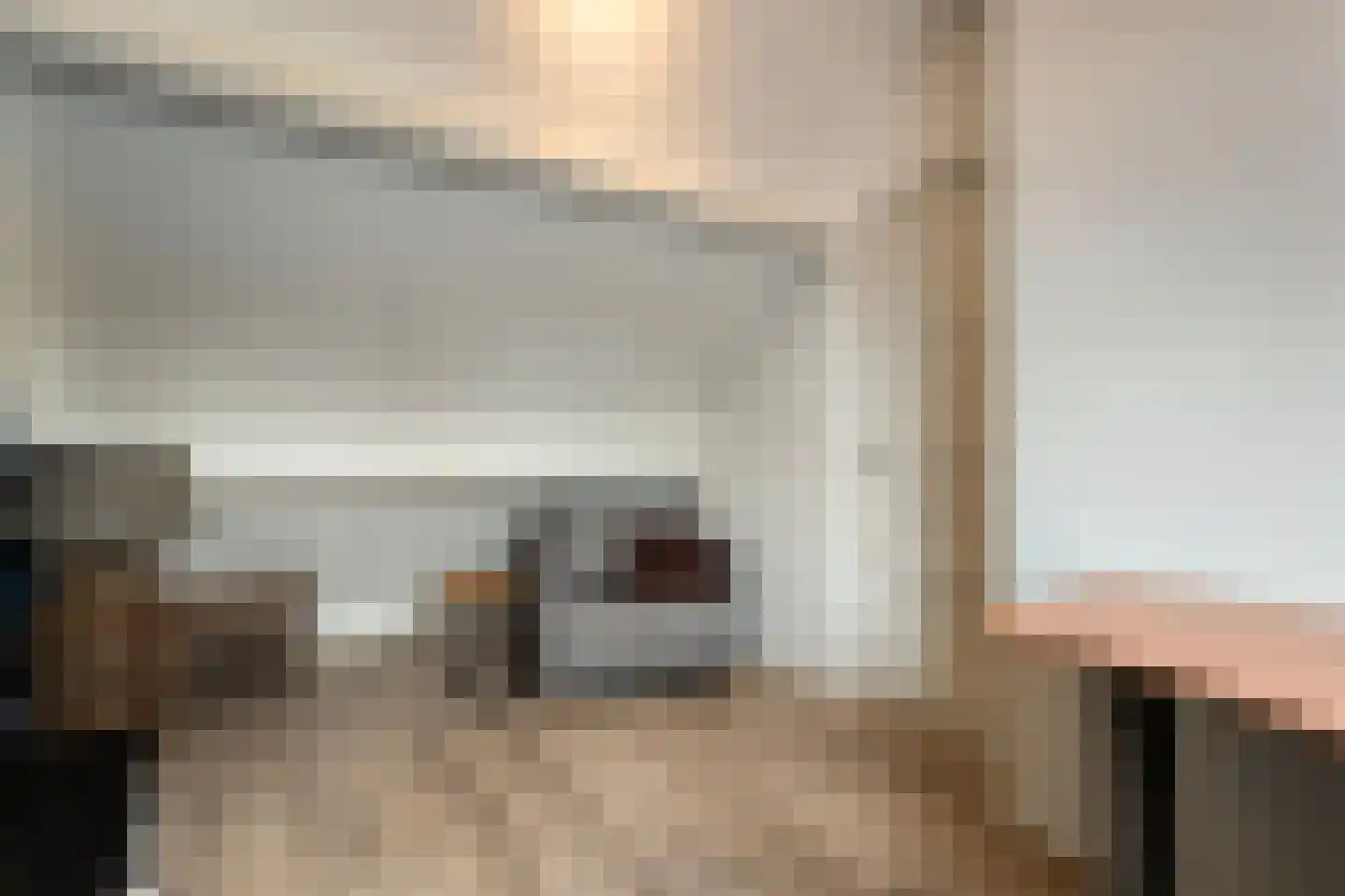 Bleekhof 15 Ruinerwold thumbnail 40