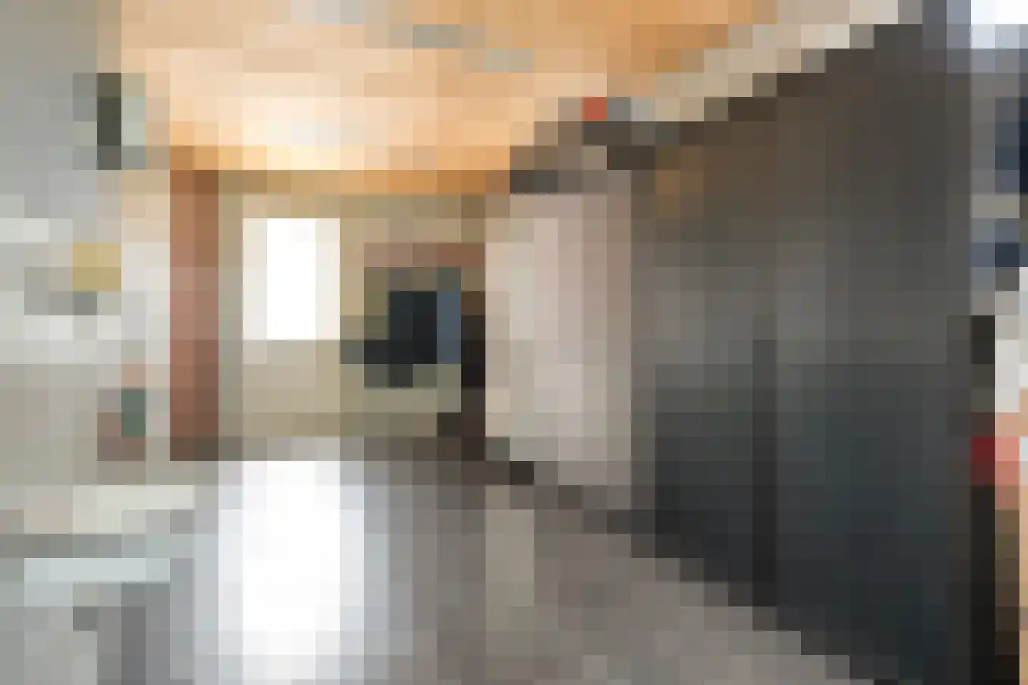 Bleekhof 15 Ruinerwold thumbnail 41