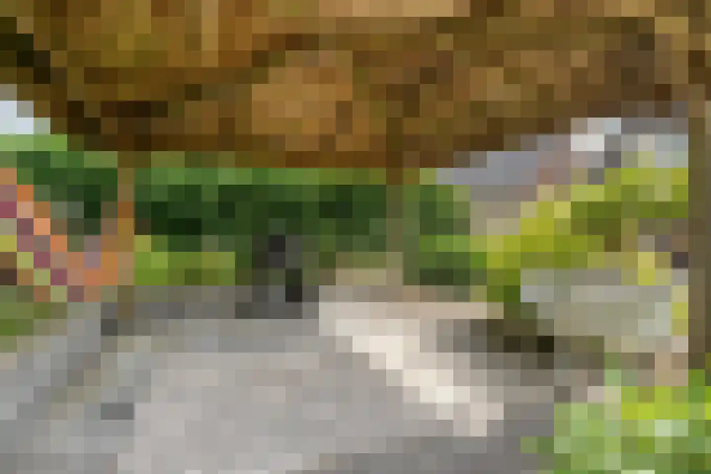 Bleekhof 15 Ruinerwold thumbnail 46