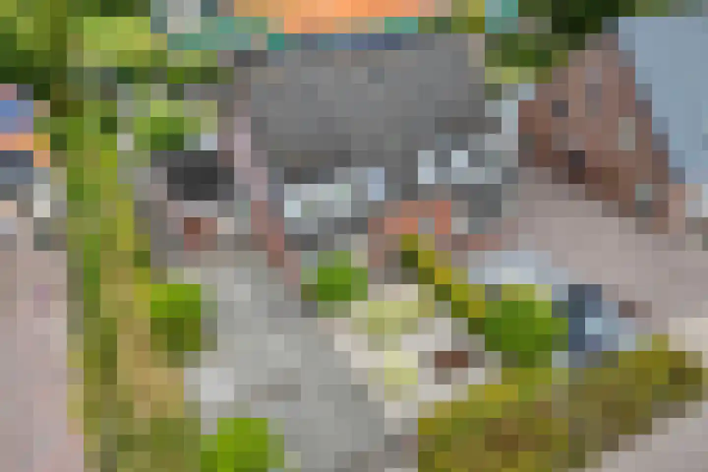 Bleekhof 15 Ruinerwold thumbnail 6