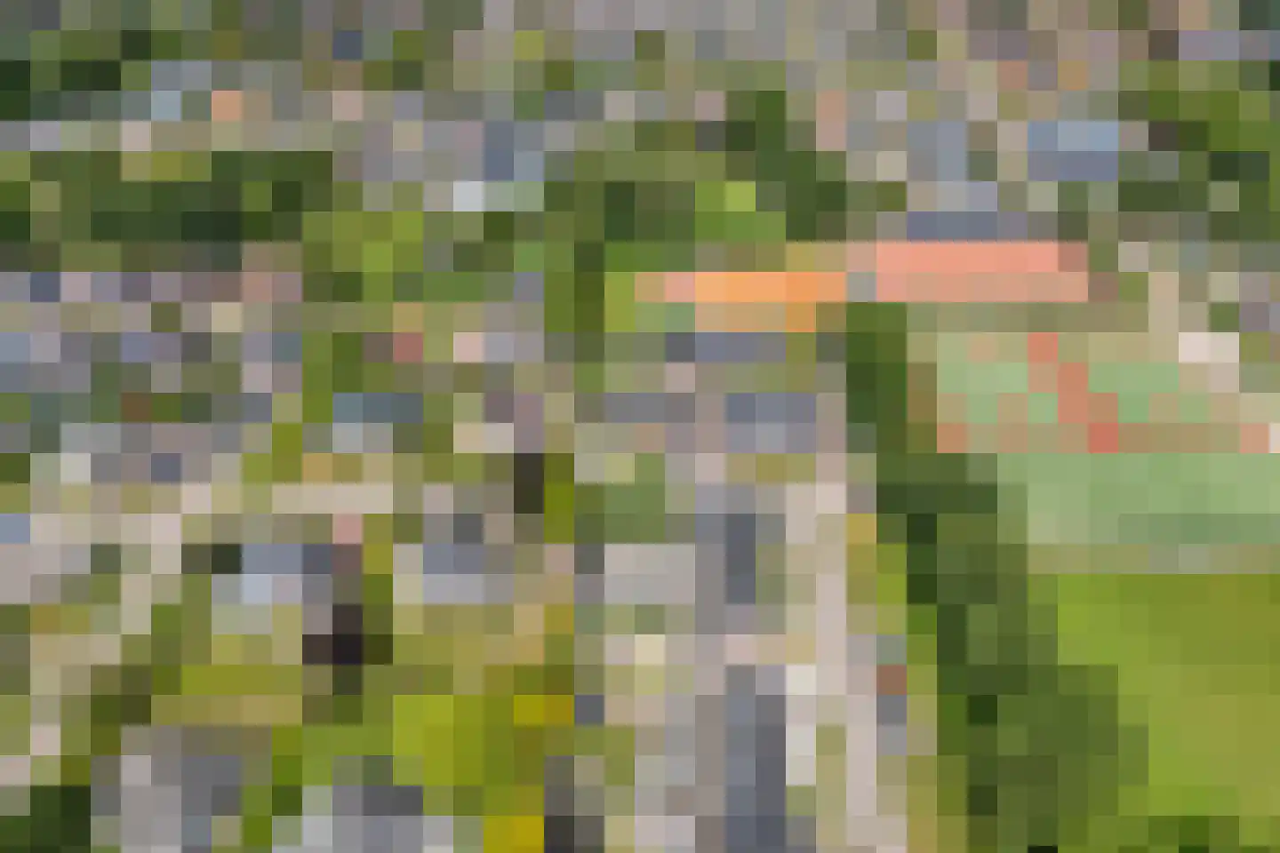 Bleekhof 15 Ruinerwold thumbnail 7