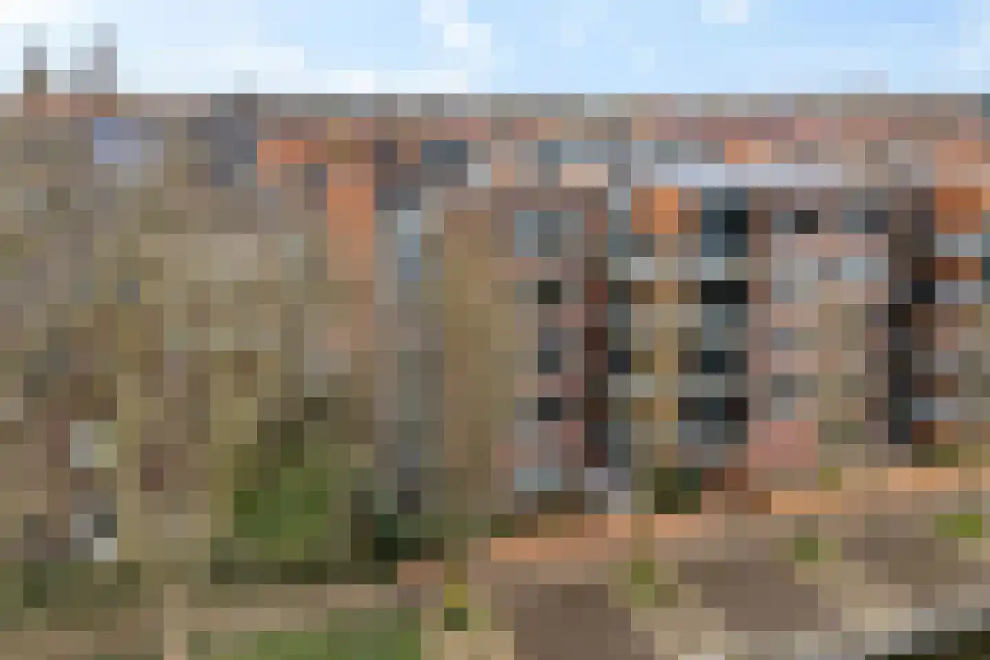 Bleekhof 169 Leeuwarden thumbnail 10