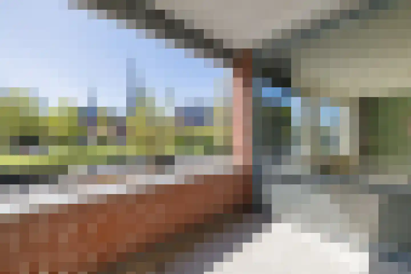 Bleekhof 21 Leeuwarden thumbnail 23