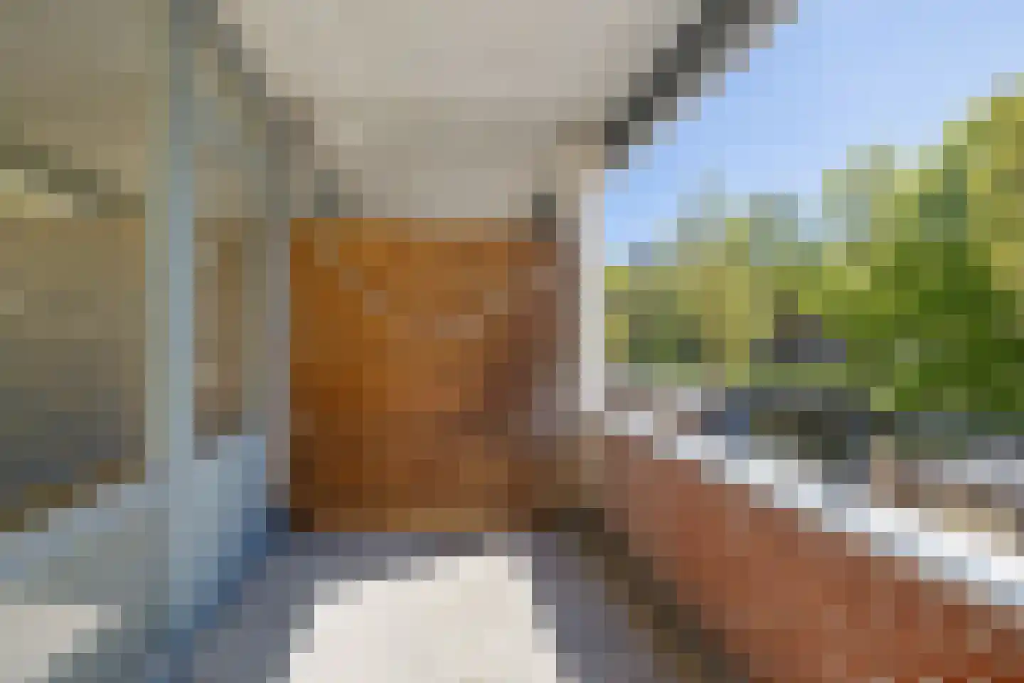 Bleekhof 21 Leeuwarden thumbnail 24