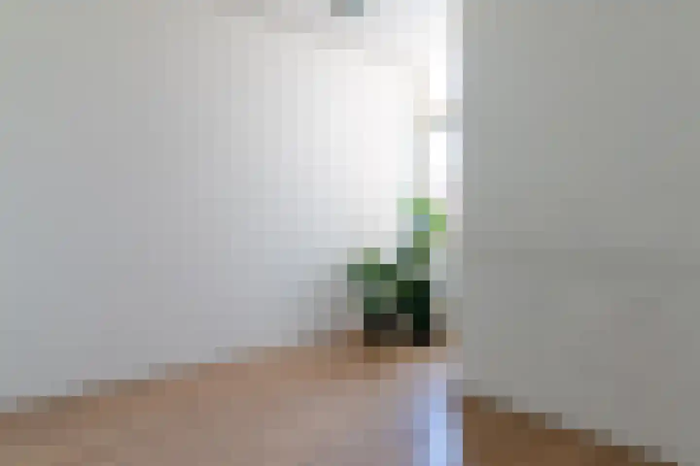 Bleeklaan 3 j Leeuwarden thumbnail 31