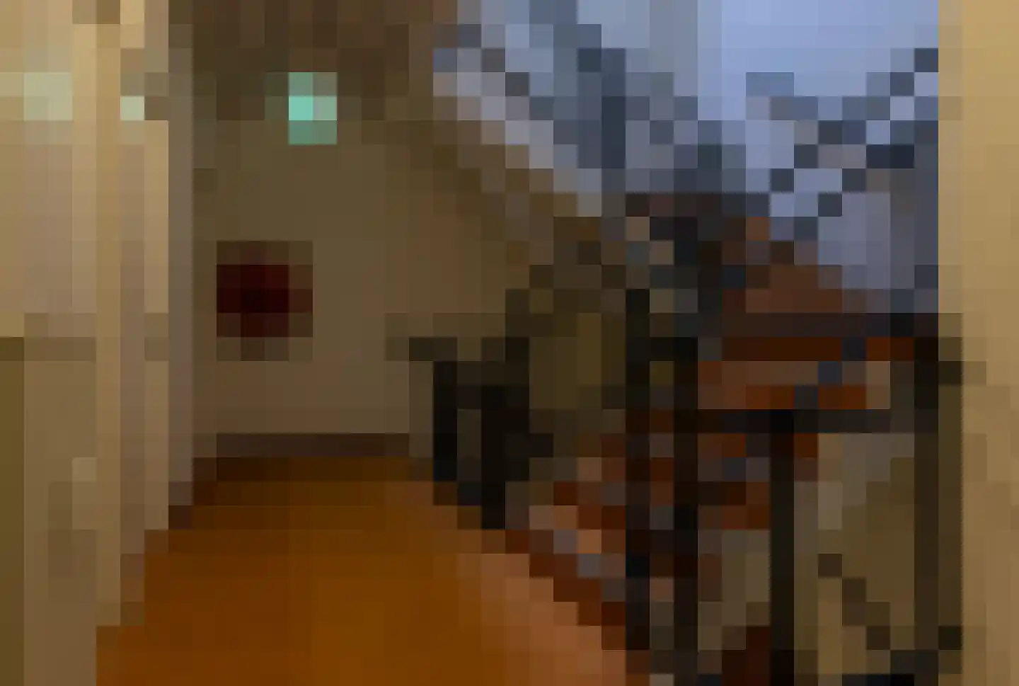 Bleeklaan 3 j Leeuwarden thumbnail 36